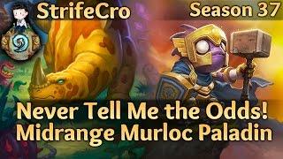 Hearthstone Midrange Murloc Paladin: Never Tell Me the Odds!