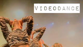 videodance | Beyoncé , Lisa & more