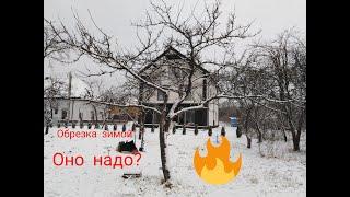 Не может быть!!! Обрезка плодовых деревьев зимой Можно ли так делать?