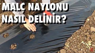 Çilek Malç Naylonu Nasıl Delinir ?