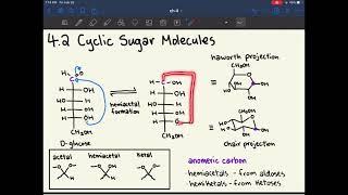 MCAT Biochemistry Ch. 4: Carbohydrate Structure and Function