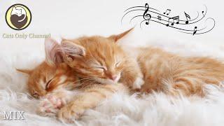 Music for Cats - 10 Hours of Peaceful Harp Music with Cat Purring Sounds