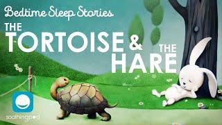 Bedtime Sleep Stories |  The Tortoise and the Hare | Sleep Story for Grown Ups and Kids | Aesop