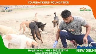 28th Oct 2022 Feed the Stray Animals – An initiative by the Yourbackers New Delhi