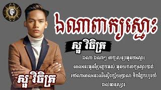 ឯណាពាក្យស្មោះ|សួ វិចិត្រ|Lyrics song sad|SEYHA SM LYRICS MUSIC