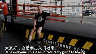 拳击入门指南 - Introduction to Western Boxing