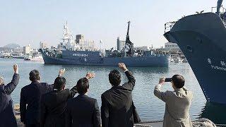 Japan's whaling fleet sets sail despite UN condemnation