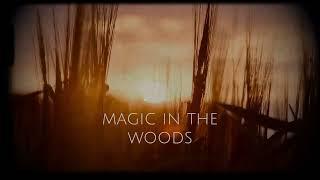 magic in the woods ~ amarice