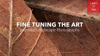 Fine-Tuning the Art of Intimate Landscape Photography