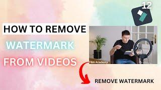 How To Remove Watermark From Videos In Filmora 12 | Remove Watermark In Filmora