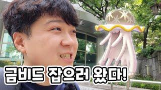 금색 텅비드 잡으러 경희대 출동(with 포켓몬고 설명충tv)