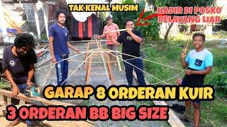 UNDAGI MATRE GARAP 3 ORDERAN BEBEAN BIG SIZE DAN 8 JANGGAN BUNTUT SAAT TUTUP MUSIM LAYANGAN