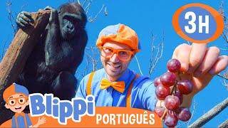 Blippi Visita Animais no Zoológico! | 3 HORAS DE BLIPPI! | Blippi em Português | Vídeos Educativos