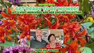 Get ready to be amazed! Home visit to orchid and plant collector, Mercedes. A pleasant surprise.