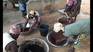 Global Mamas: Shea Butter Production Process