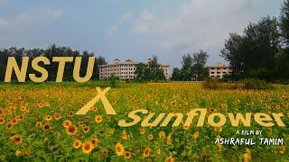 NSTU X Sunflower | Noakhali Science & Technology University | Noakhali | Cinematic Video