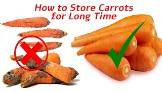 How to Store Carrots for Long Time