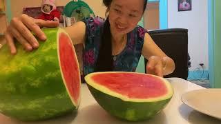 Thu Hoạch Rau Muống Đầu Mùa Và Ăn Trái Dưa Hấu 10kg