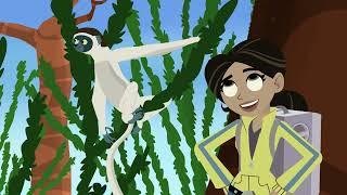 3-23 Братья Кратт - Ноги лемура / Wild Kratts - Lemur Legs