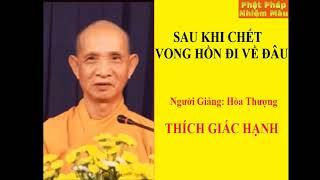 Thế giới tâm linh huyền bí Sau khi chết vong hồn đi về đâu, HT  Thích Giác Hạnh