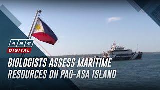 Marine biologists assess maritime resources on Pag-asa Island | ANC