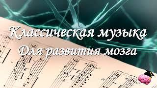  Классическая музыка для работы мозга   Моцарт и Бетховен для улучшения мозговой деятельности.