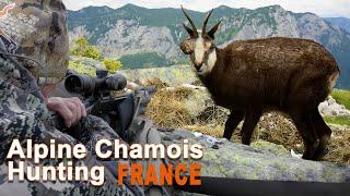 Alpine Chamois Hunting in France // Chasse au Chamois en France // 2021