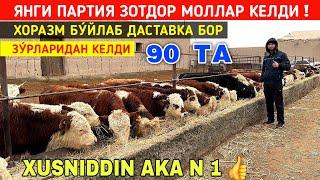 ЯНГИ ПАРТИЯ ЗОТДОР МОЛЛАР КЕЛДИ ХУСНИДДИН АКА ФЕРМАСИ ХОРАЗМ БУ́ЙЛАБ ДАСТАВКА !!! ХОРАЗМ БОЗОР