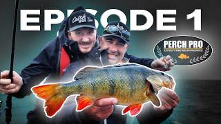 PERCH PRO 8 - Episode 1