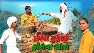 છોરા મકાઈ ફોલવા સાલ aadivasi Desi gujarati comedy mithun mavi setan mavi #mithunmavi #setanmavi