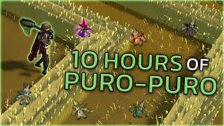 Loot From 10 Hours Of Puro-Puro