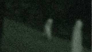 Strange Alien Stick-like creatures caught on security camera above Fresno in Yosemite (Video Tests)