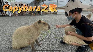 Capybara之歌～