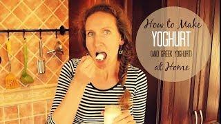 How to Make Delicious Yogurt (and Greek Yogurt) at Home | VitaLivesFree