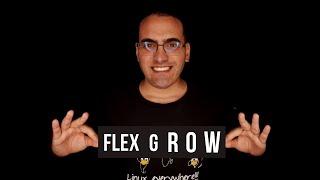 CSS FLEXBOX - FLEX-GROW