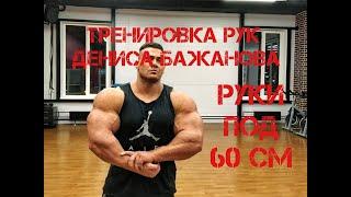 РУКИ под 60 СМ! Тренировка рук Дениса Бажанова. Бодибилдинг. Fitnesslife. Возвращение чемпиона