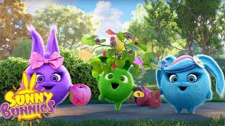 SUNNY BUNNIES - BRAND NEW SEASON 8 MARATHON | WildBrain Enchanted | Cartoons for Kids