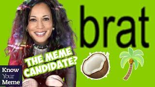 Kamala Harris Campaign Gets Memed: The Coconut Tree and Other Brat Kamala Memes Explained