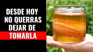  Como Hacer UN TE DE KOMBUCHA para QUITAR Dolencias del CUERPO