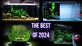 My BEST AQUARIUM BUILDS in 2024 (Step by step AQUASCAPING TUTORIALS)