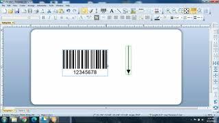 Using the Right Barcode & the Right Size: BarTender Barcoding Software Demo