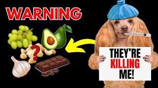 22 Common Foods That Could Secretly Kill Your Dog – Are They in Your Kitchen? | Dog Cues