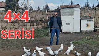 KUŞÇU CAMİASI! 4X4 SERİSİ! MAHMUT 38