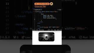 Grayscale Filter with HTML and CSS, #trending #coding #shorts