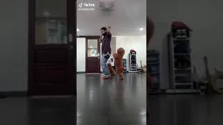 TikTok Anjing joget sambil berdiri