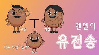 우성과 열성의 자손은 우성일까?  멘델이 알려줄께! |  유전송  |  과학송