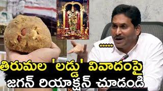 తిరుమల 'లడ్డు' వివాదంపై జగన్ రియాక్షన్ చూడండి YS Jagan First Reaction On Tirumala Laddu Issue