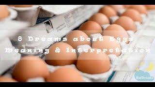 #28 Egg Dreams - Meaning & Interpretation