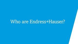 Who are Endress+Hauser?