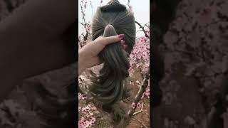 Top 50 Hairstyles Tutorial 1333